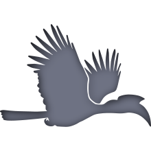 Piktogramm des Sammelnamens Hornvögel