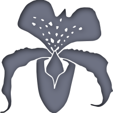 Piktogramm des Sammelnamens Orchideen