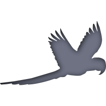 Piktogramm des Sammelnamens Papageien