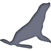 Piktogramm des Sammelnamens Robben und Walrosse