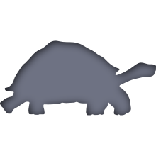 Piktogramm des Sammelnamens Schildkröten