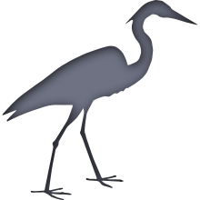 Piktogramm des Sammelnamens Schreitvögel
