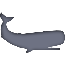 Piktogramm des Sammelnamens Wale